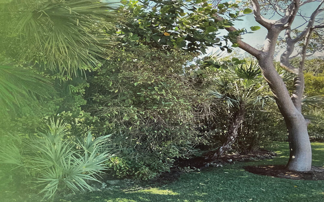 Working with Nature: Four Decades of Florida Landscape Design