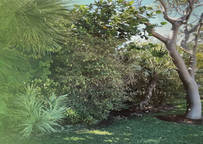 Working with Nature: Four Decades of Florida Landscape Design